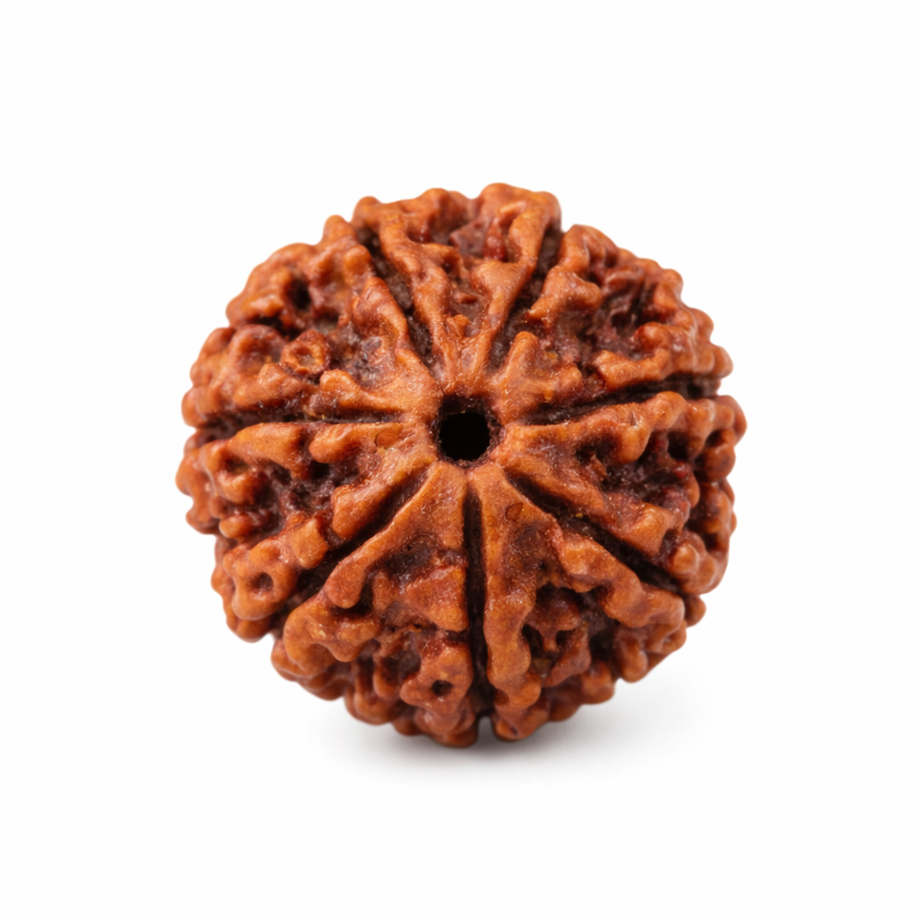 Rudraksha